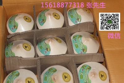 上海新鮮進口水果批發與高檔水果配送服務全解析